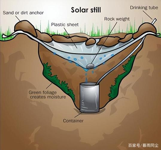在野外如何找水源优质 野外获取水的方法