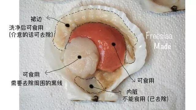 生蚝怎么清洗内脏？优质 螺蛳粉吃出蟑螂