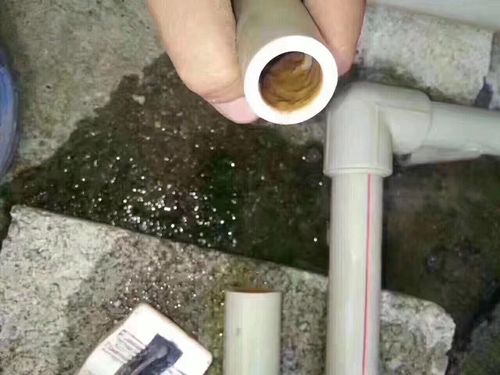 水管里有绿苔怎么处理优质 软水管怎么清理青苔