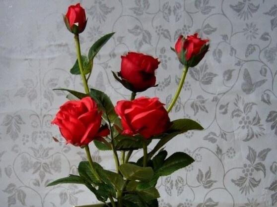 种玫瑰花的禁忌优质 种玫瑰花要注意些什么